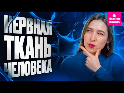 Видео: 2. Нервная ткань человека | Летняя школа | ЕГЭ-2026 по биологии