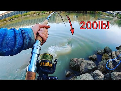 Видео: Я поймал рыбу твоей мечты! (200-фунтовый монстр)