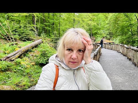 Видео: Вот же дикая свинья. Настоящее свинство я в шоке.