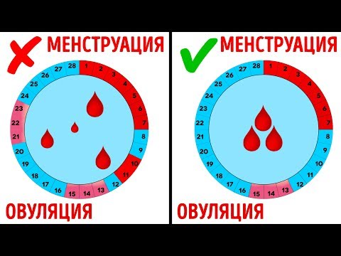 Видео: 14 Вопросов о Месячных, Которые Вы Стесняетесь Задать Врачу