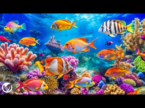 Видео: Лечебная Музыка для Снятия Стресса, Депресии, Усталости, Негатива, Детокс негативных эмоций #27