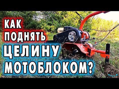 Видео: ⚡️Как ПОДНЯТЬ 🔥ЦЕЛИНУ МОТОБЛОКОМ?🔥 Raise virgin soil with a walk-behind tractor? 用手扶拖拉機耕種原始土壤？