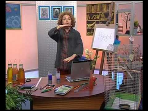 Видео: Физика 36. Закон Паскаля. Плотность. Давление жидкости. Часть 1 — Академия занимательных наук