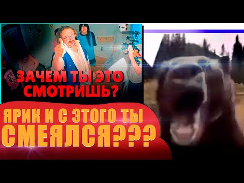 Видео: DAWG СМОТРИТ - 42 ДНЯ СУМАСШЕДШЕГО СТРИМА - fishtank