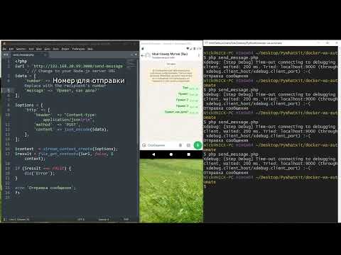 Видео: Сервер для бесплатной отправки сообщений в WhatsApp