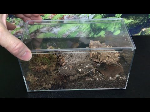Видео: Обзор корпуса для изопод: www.Microvarium.com