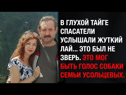 Видео: Жуткие звуки из тайги: спасатели уверены, что это был голос собаки Усольцевых