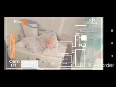 Видео: (Пять Ночей У Свинтуса [Андроид])(ночи 1-6 пройдено)(Свинья серьезно)(майские фнаф фан игры)