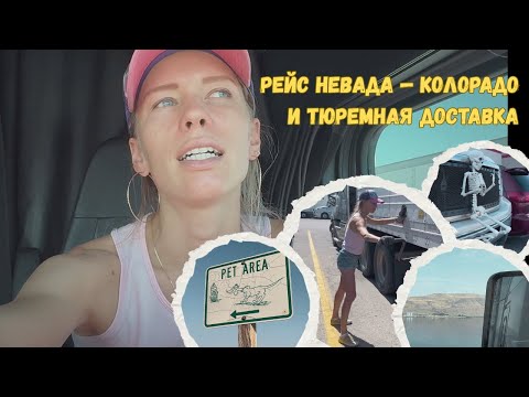Видео:  Еду по тюрьмам🫣 Рейс Невада — Колорадо 