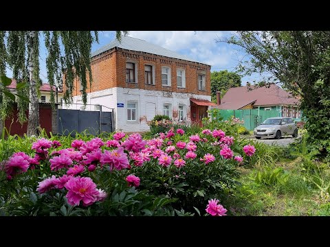 Видео: Городские цветы. Курск.