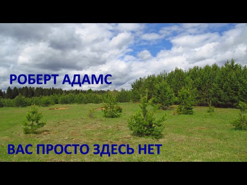 Видео: Вас просто здесь нет. Роберт Адамс.