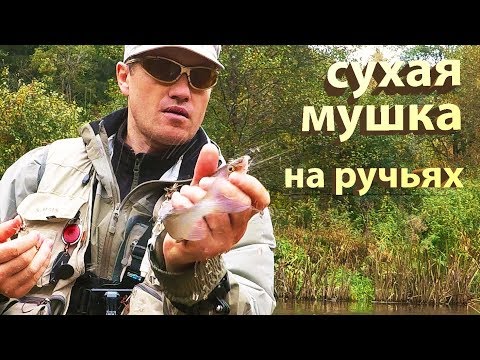 Видео: Сухая мушку на ручьях. Техника ловли нахлыстом и основные забросы. / dry fly fishing