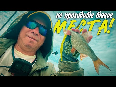 Видео: СЕКРЕТНАЯ ЯМА. Всю РЫБУ НАШЁЛ ЗДЕСЬ! #мормышинг