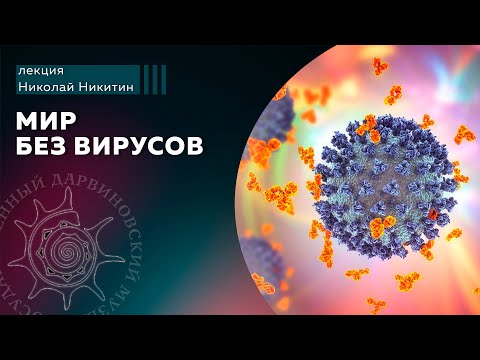 Видео: Мир без вирусов