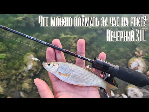 Видео: Пошел за голавлем, а наловил... Один час с  XUL-спиннингом