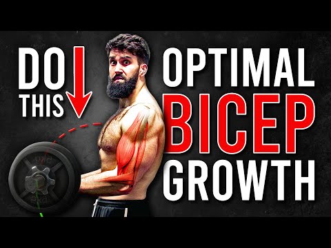 Видео: Каковы ЛУЧШИЕ упражнения для бицепса? (Научно обосновано)