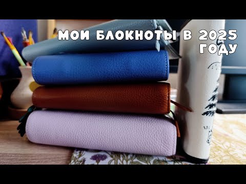 Видео: Какие планеры я веду в 2025 году? | My planners in 2025