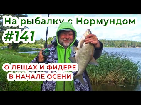 Видео: О лещах и фидере в начале осени! / На рыбалку с Нормундом #141