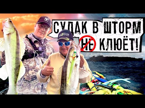 Видео: ТЕСТ ТОПовых СПИННИНГОВ В УРАГАН! Когда не хочется, но надо!