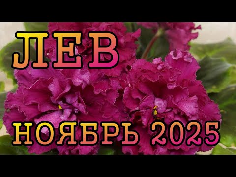 Видео: ЛЕВ таро прогноз на НОЯБРЬ 2025 года
