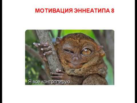 Видео: Эннеатип 8 Босс - Лидер