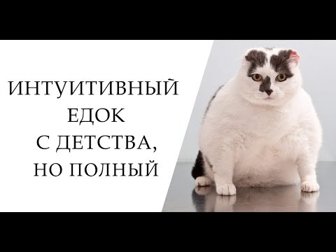 Видео: ПОЧЕМУ ТОГДА ЕСТЬ ПОЛНЫЕ ЛЮДИ ?[Интуитивное питание]