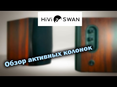 Видео: Обзор активной двухполосной системы HIVI-SWAN D1100