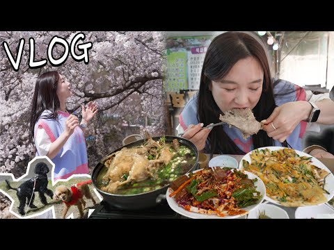 Видео: Mukbang Vlog с оправданием взгляда на цветок🌸... Как он фотографирует?ㅣHamzy Vlog