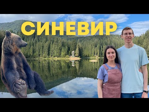 Видео: Синевир, Колочава, медведи, Закарпатское море