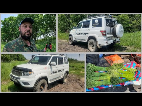 Видео: Поехали, прокатимся, на УАЗ Патриоте, за папоротником!