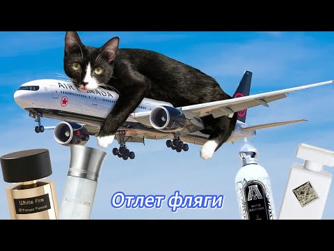 Видео: Вы отлетите! | Воздушный мускус в ароматах