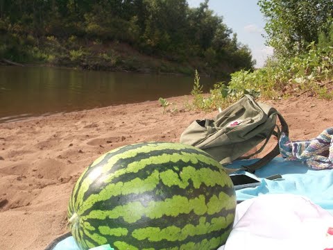 Видео: ЭВРИДЕЙ ЛАЙФ 2