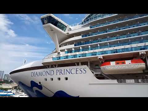 Видео: ОБЗОР КРУИЗНОГО ЛАЙНЕРА DIAMOND PRINCESS|Vladivostok Морской Вокзал|Diamond Princess Cruise Ship🛳