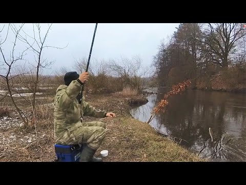 Видео: Весенняя рыбалка, ловля густеры на удочку