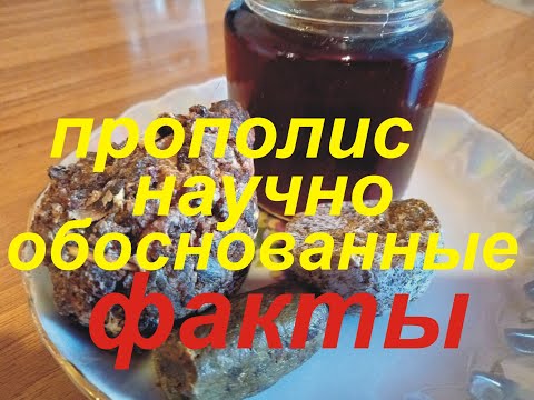 Видео: Прополис. Факты по науке.