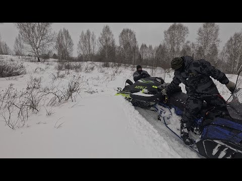 Видео: Через лес на TUNGUS 500L, АЗИМУТ, БУРАН