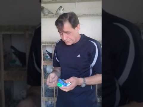 Видео: Совет от Гагика 6.Обработка от пероедов и от глистов