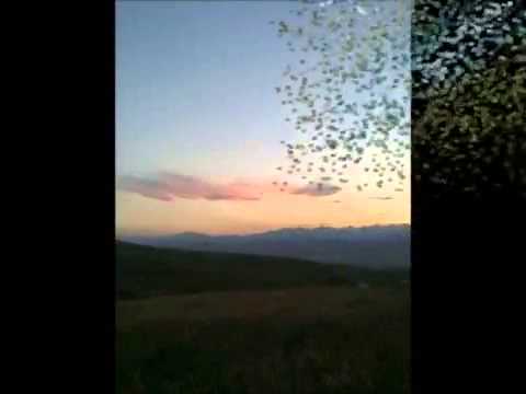 Видео: Кыргызстан Аксы району