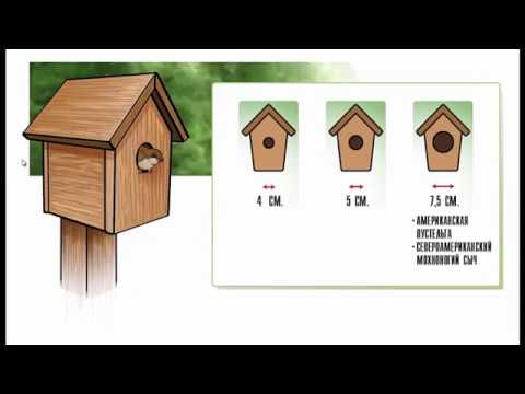 Видео: Пермакультурный сад Собковиака 07