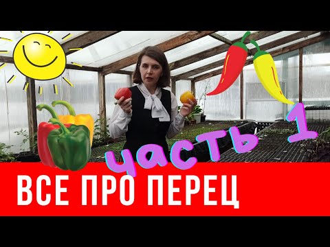 Видео: ВСЕ ПРО ПЕРЕЦ. Часть 1: Посев перца на рассаду.