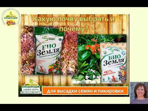 Видео: Томатное изобилие. ЧАСТЬ 4 - Томатно-рассадный период