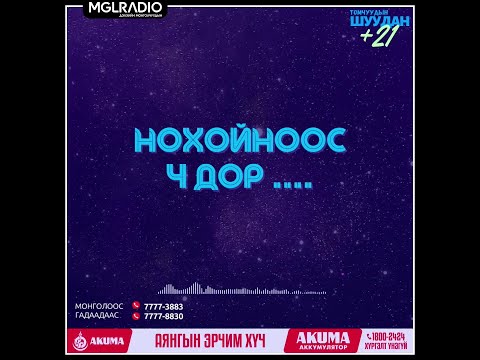 Видео: Томчуудын шуудан | 2024-11-14 | Нохойноос ч дор ....