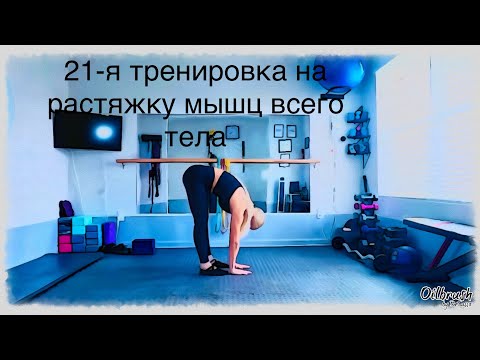 Видео: Часовая тренировка на улучшение диапазона движения суставов, растяжку и укрепление мышц тела.