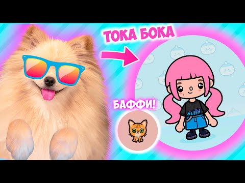 Видео: Я ВЕРНУЛАСЬ В ТОКА БОКА ! ЗАВЕЛА КОТИКА БАФФИ TOCA WORLD