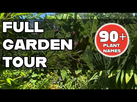 Видео: Полный тур по саду Tropical Glos за октябрь 2025 г. с названиями растений