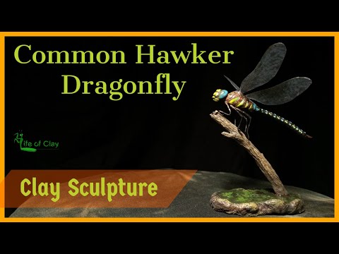 Видео: Лепим стрекозу-бражника (Aeshna juncea)_Полимерная глина_Жизнь из глины