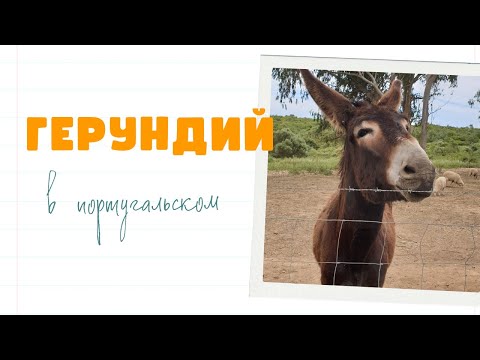 Видео: Герундий в португальском