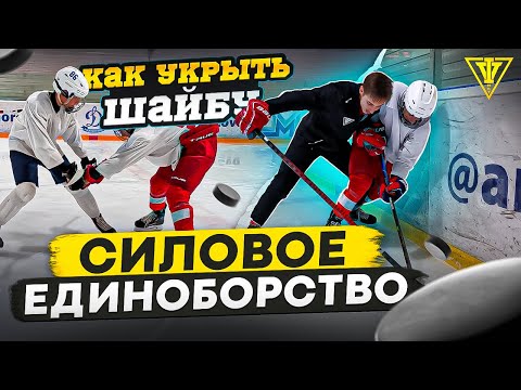 Видео: СИЛОВЫЕ ЕДИНОБОРСТВА / КАК БОРОТЬСЯ у БОРТОВ? / Как укрывать шайбу?