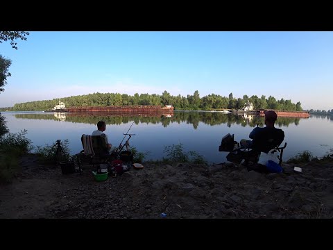 Видео: #рыбалка #фидер  Ловля леща на фидер в жару. Река Десна +35