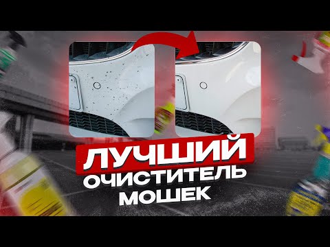 Видео: ЧЕМ ЧИСТИТЬ МОШЕК С АВТОМОБИЛЯ? ПРОВЕРКА 9-ти ОЧИСТИТЕЛЕЙ